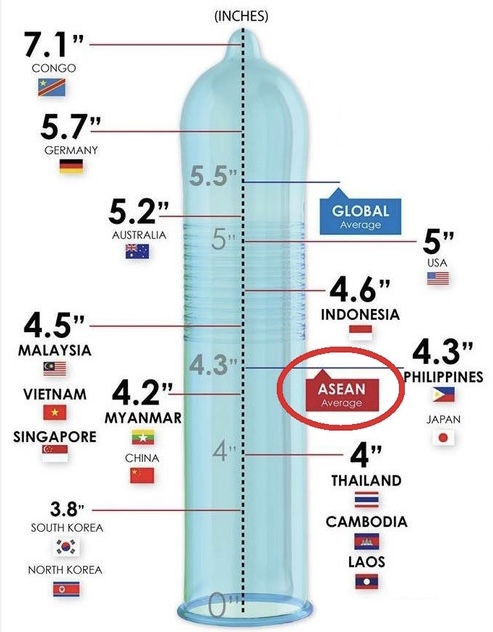 DC73ED29 2BC2 4A02 BC9D 9CD90541B050