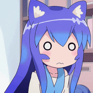 16333