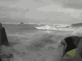 Wave swept away