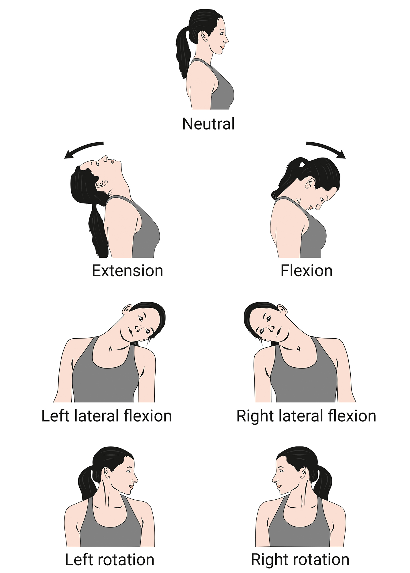Neck Movement