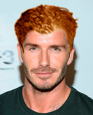 Becks ginger