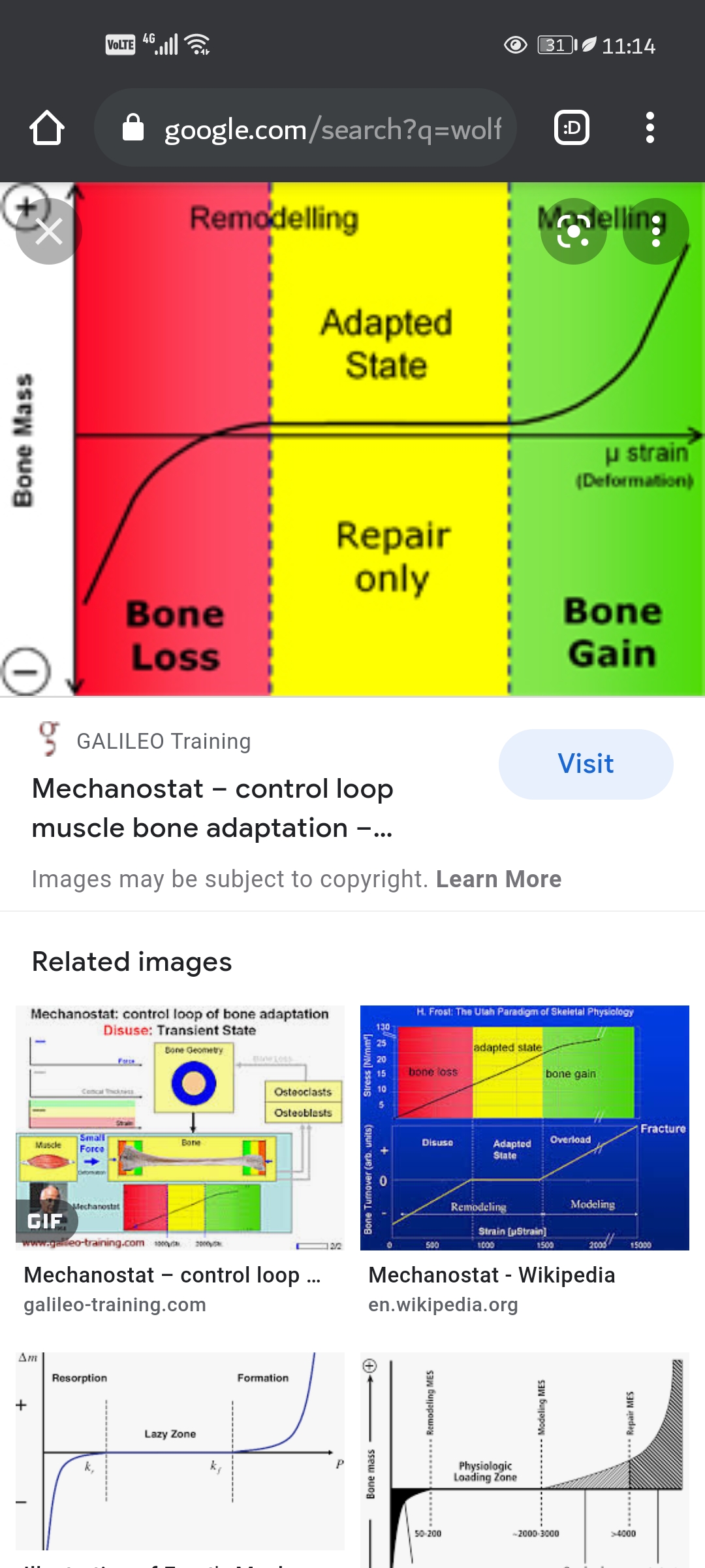 Screenshot 20220128 111407 comandroidchrome