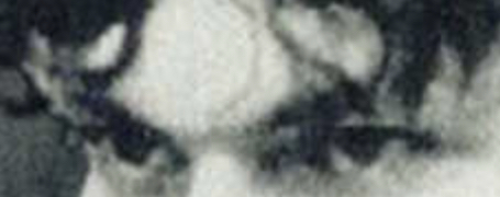 1A8A476D 1B8A 46C2 B44D 8D486430EAB3