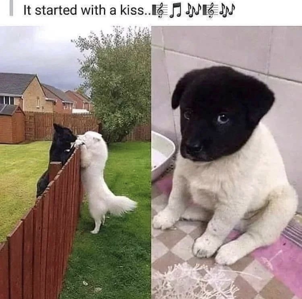 1643727019241