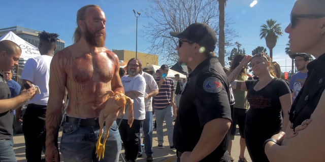 Raw Chicken