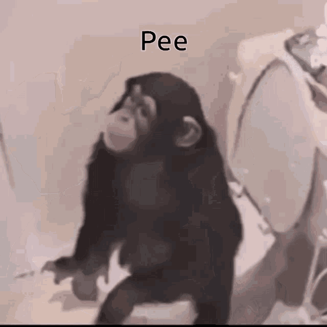 Pee monkey