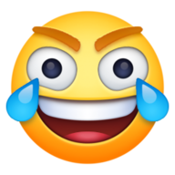 1643925311001