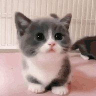 6305