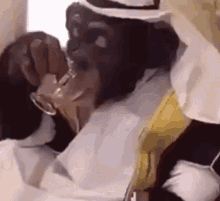 Monkey 1