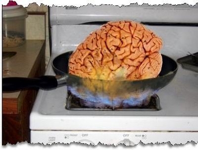 Fried brain 1