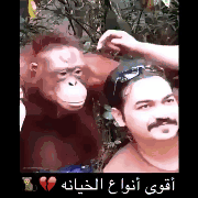 MJS6KGG