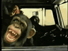 Lol laugh