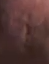 1644251009041