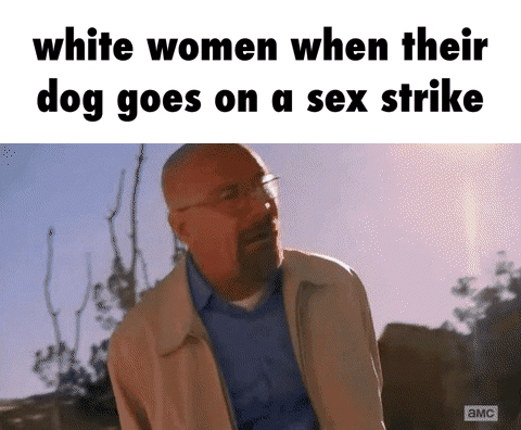 04C9B495 4288 4EC3 81F0 1A69D5EFBB86