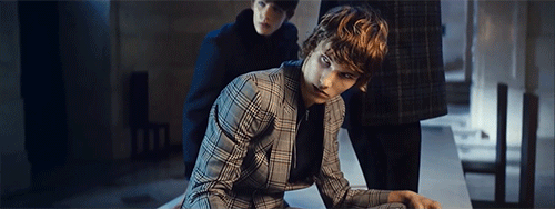 Tumblr obn7ofL2hD1u1f3j8o2 500