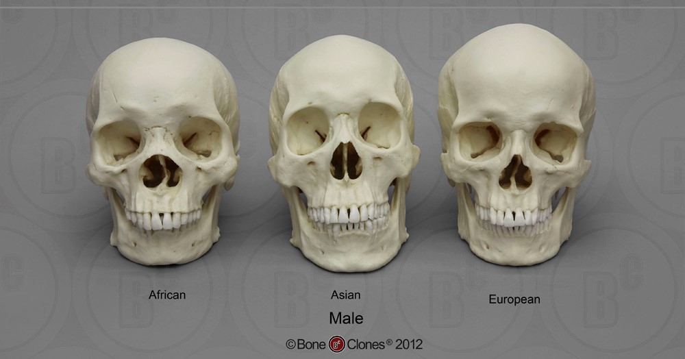 Product 1597 main original 1415043930