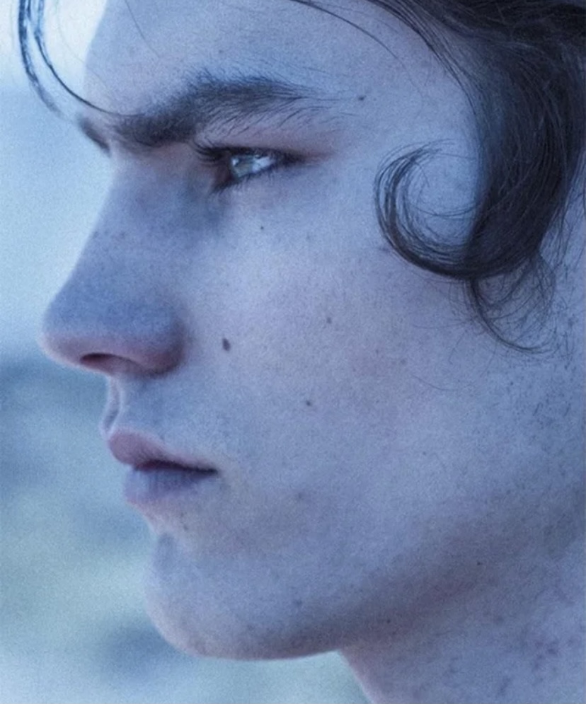 17802A9C D44E 41F1 9217 CA6D48DA7BAB