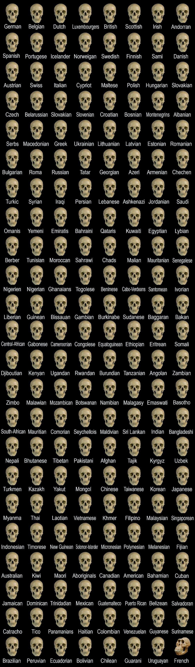 1644705413004