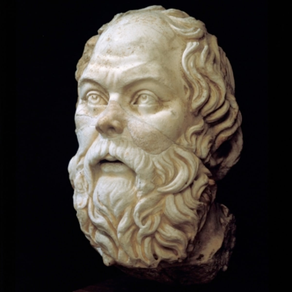 Socrates 9488126 1 402