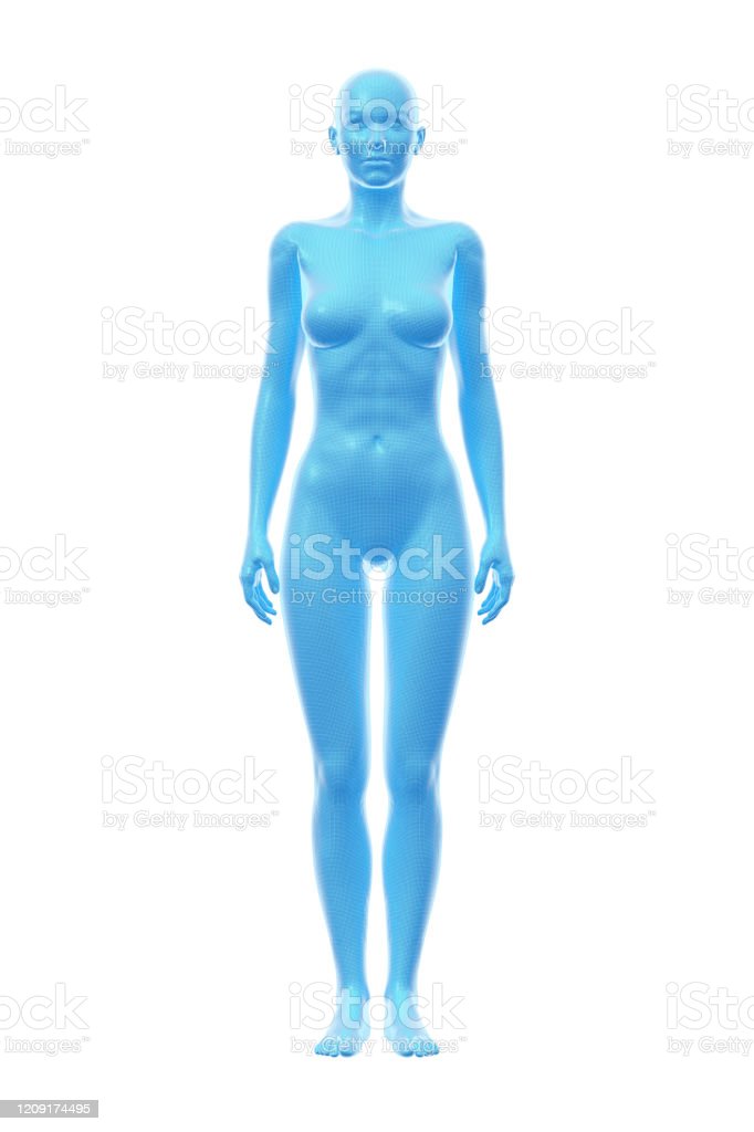 Istockphoto 1209174495 1024x1024
