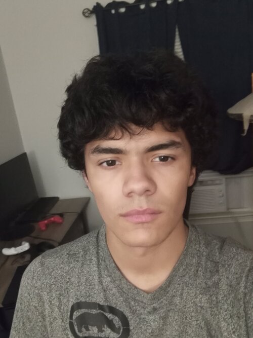 2682868 attachments 17