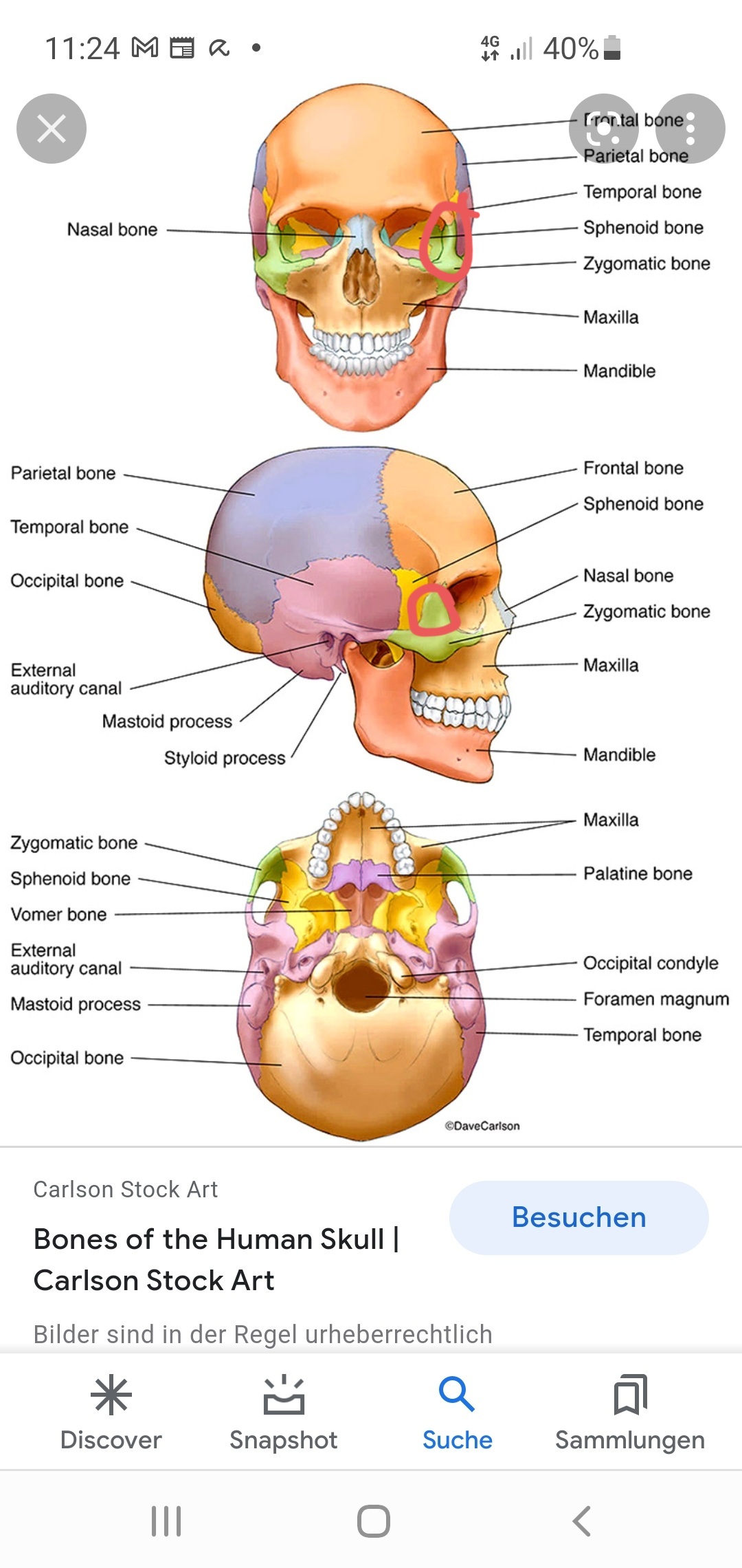 Screenshot 20220216 112452 Google