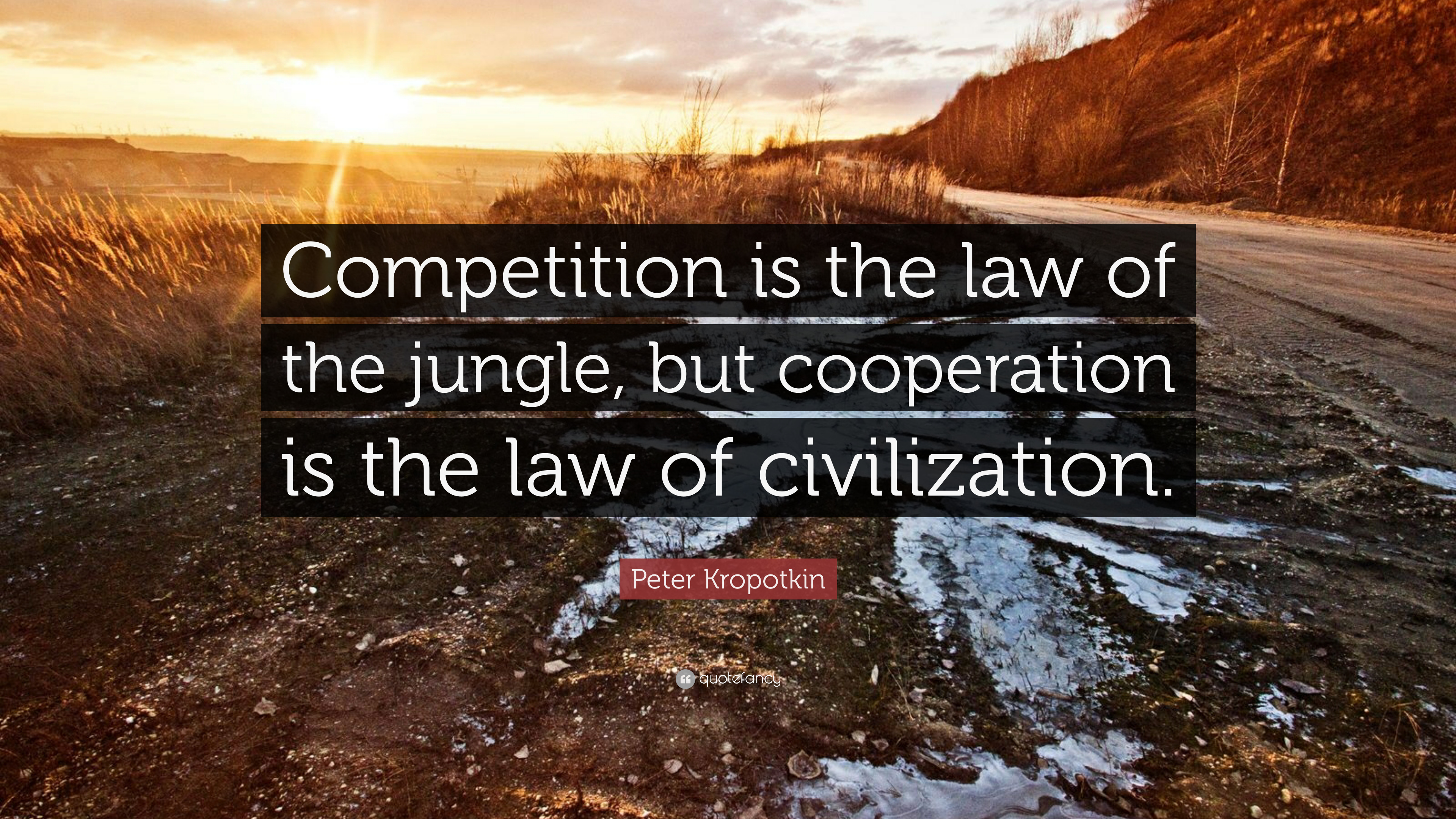 2062865 Peter Kropotkin Quote Competition is the law of the jungle but