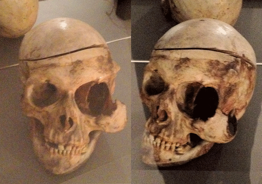 Amsterdam skull small