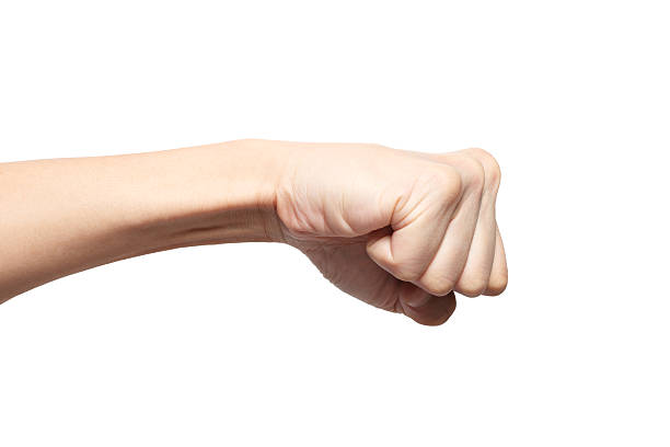 Istockphoto 175520473 612x612