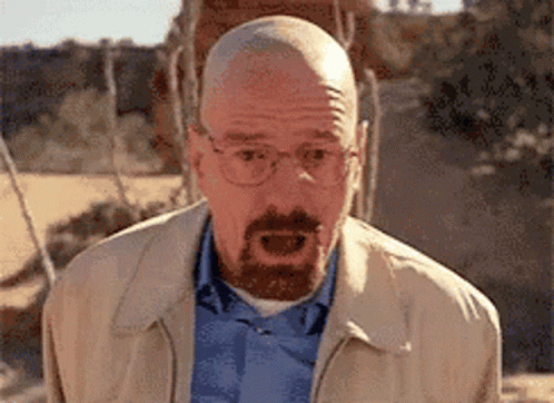 Walter white walter