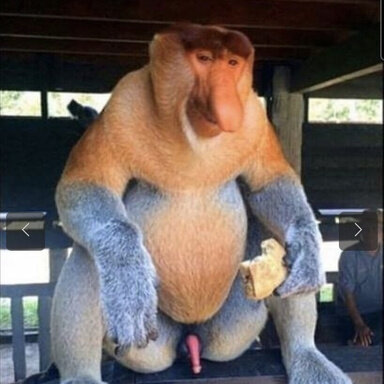 4362
