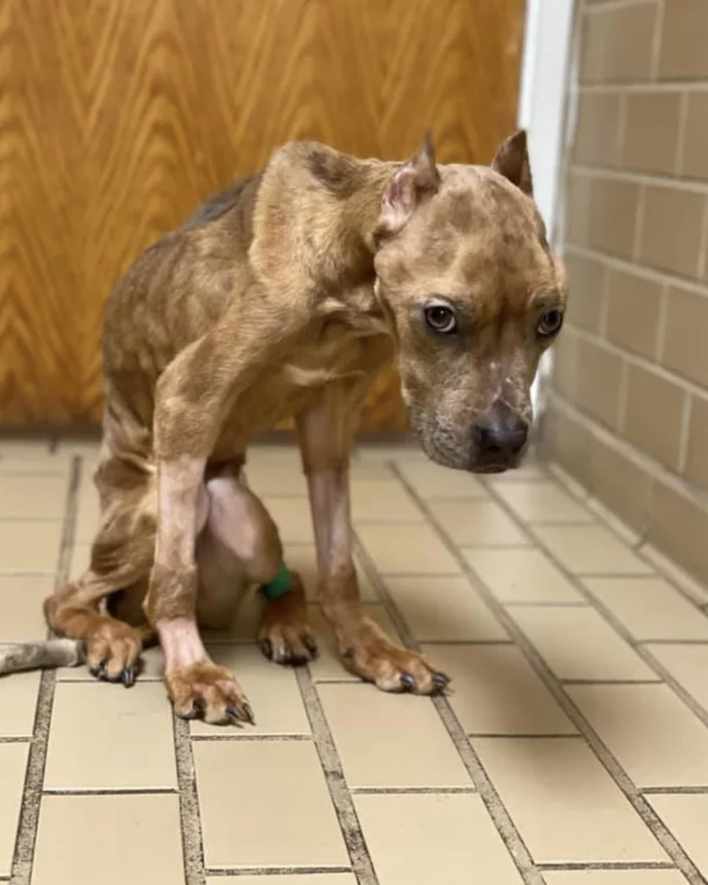 FB589887 0768 44B7 93EF 3463EC8616DE