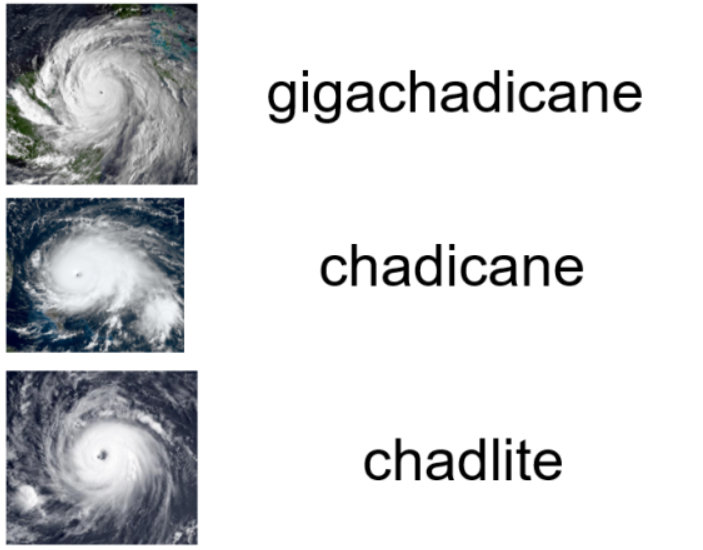 1645491670661
