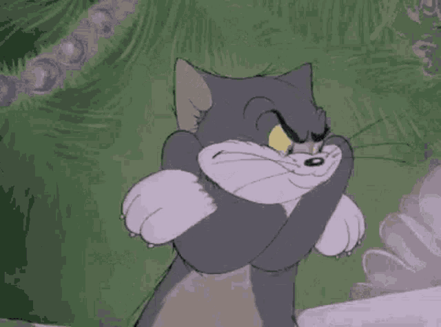 Tom and jerry tom
