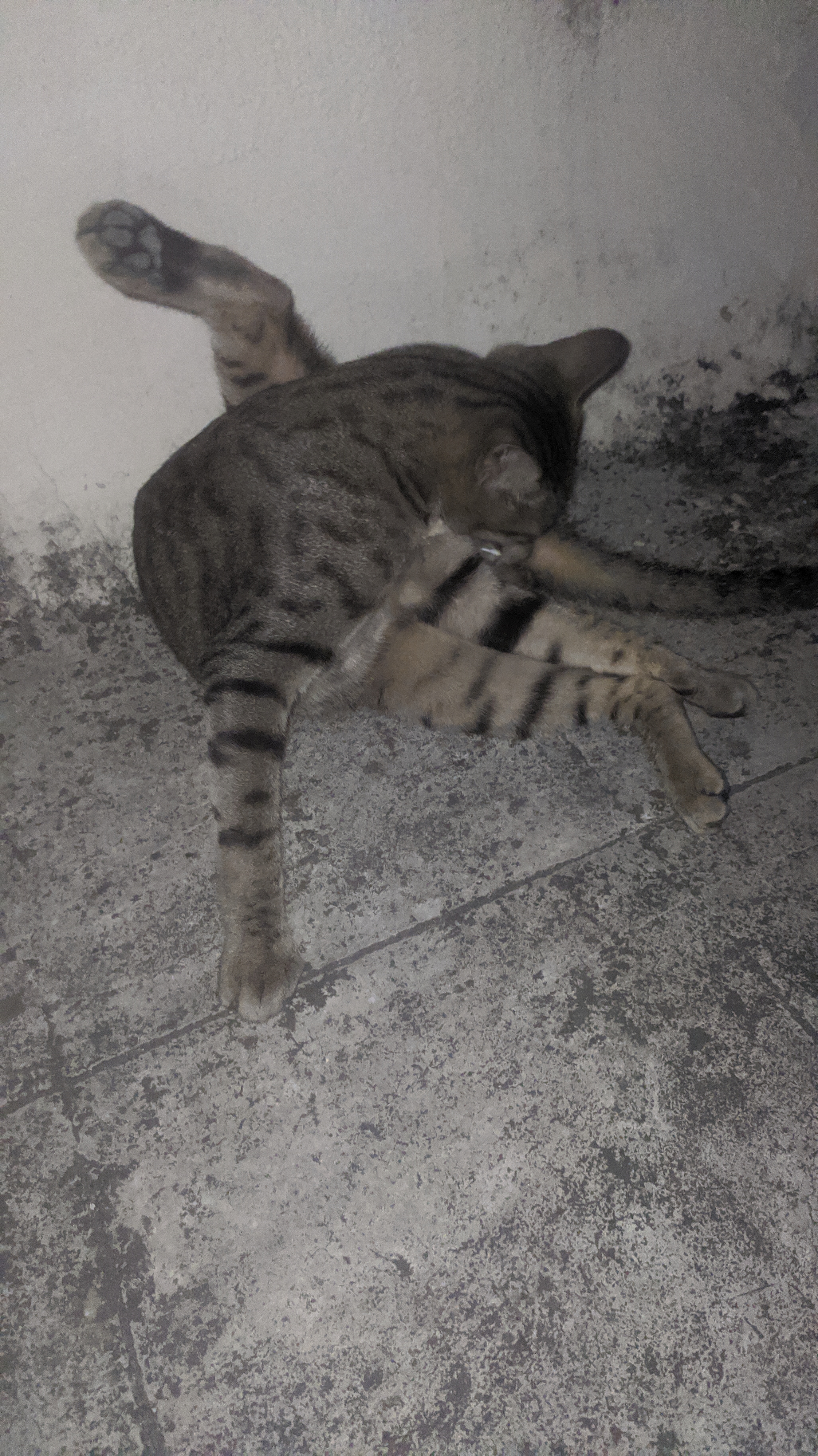 IMG 20220219 232607