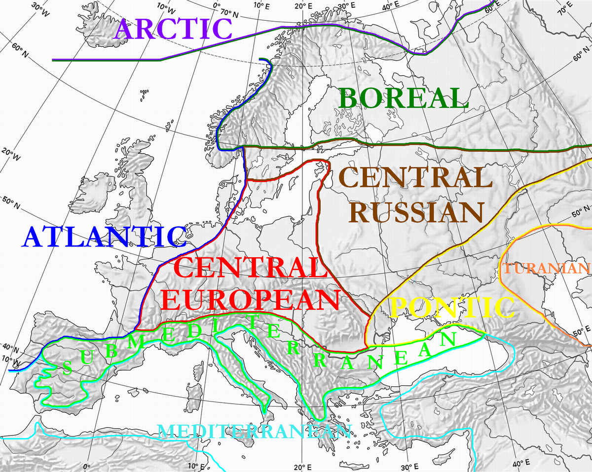 1645777277975