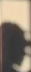 Screenshot 2022 02 25 at 110748 AM