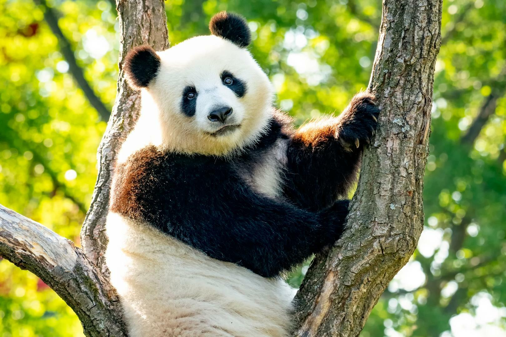 1645881190437