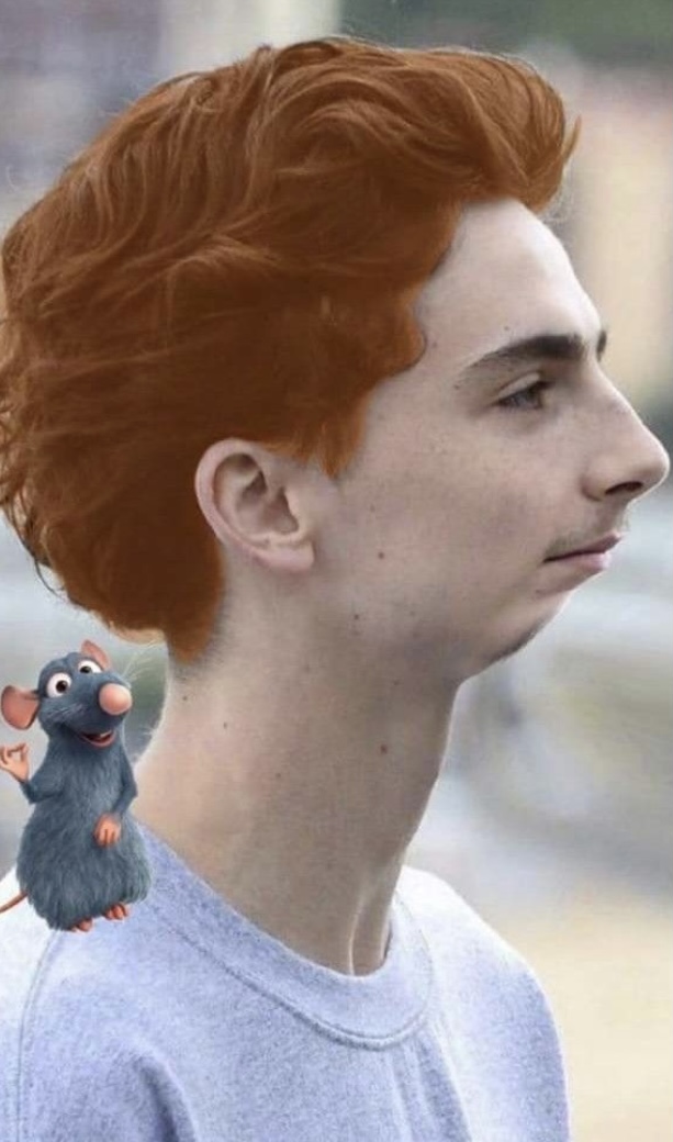 A2671147 FFCB 40D5 B855 B04BB4B2099A