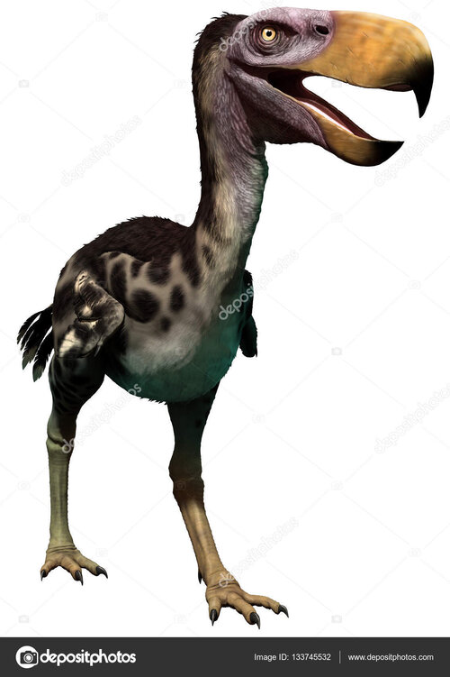 4545345345354
