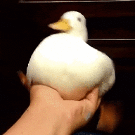 1644970831106.gif