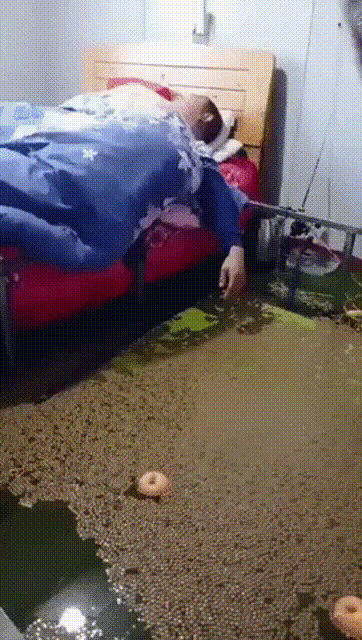 1645844374183