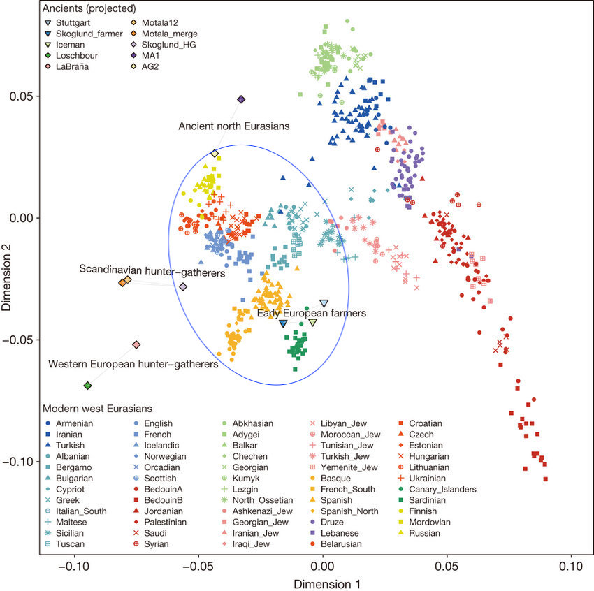 Pca on all present day west eurasians with ancient samples