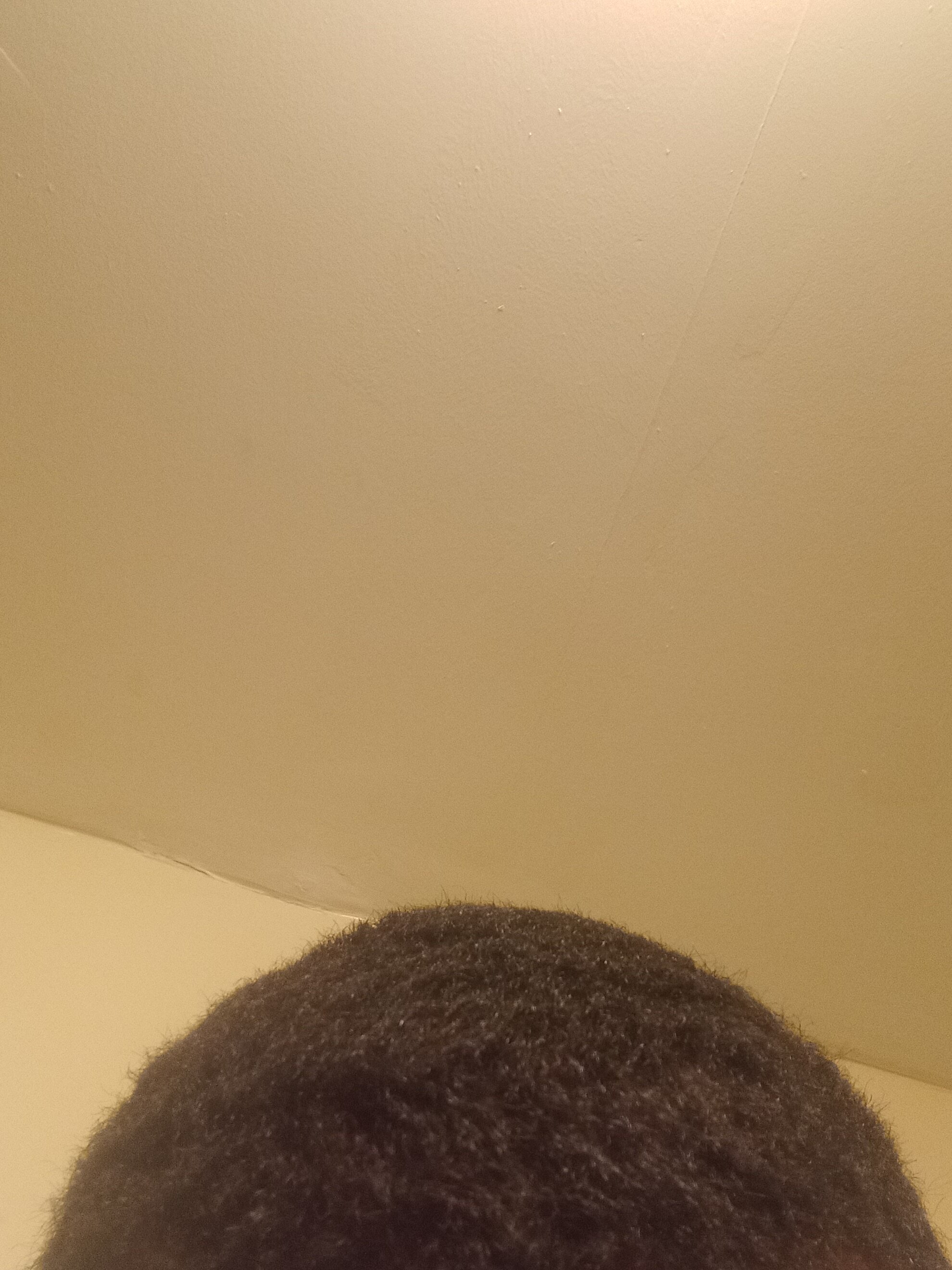 Hair2