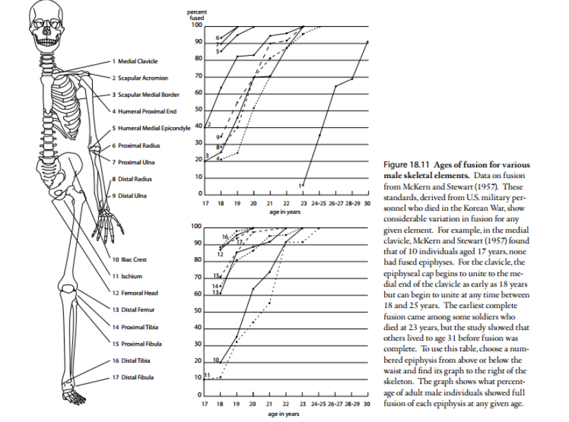 2719927 8983CE70 D600 4E30 A753 E2C161E97E93
