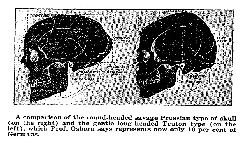 CraniologyFig05