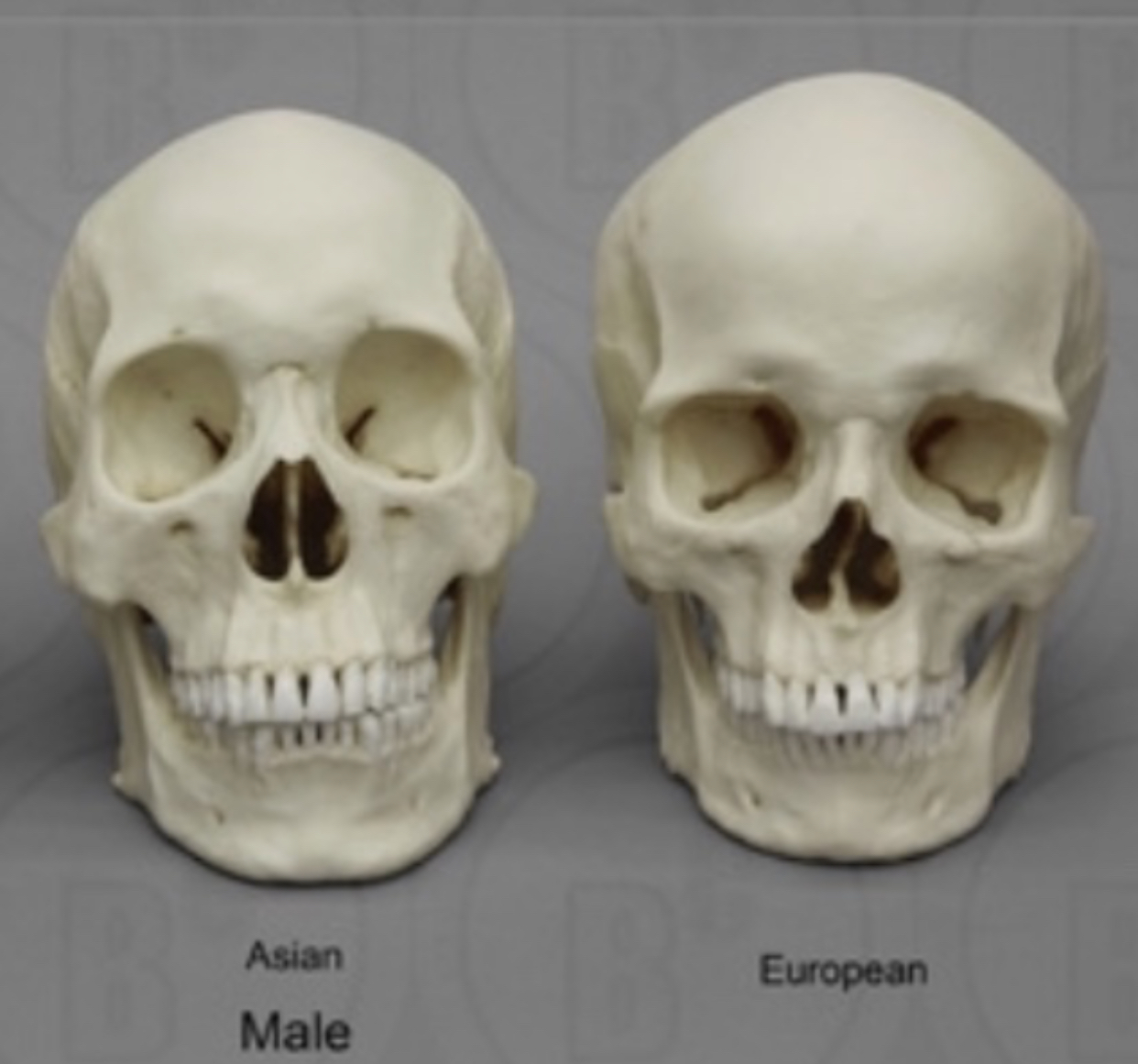 0DF5ABC0 DDF3 45A5 A93C FD84C4DDDBF0