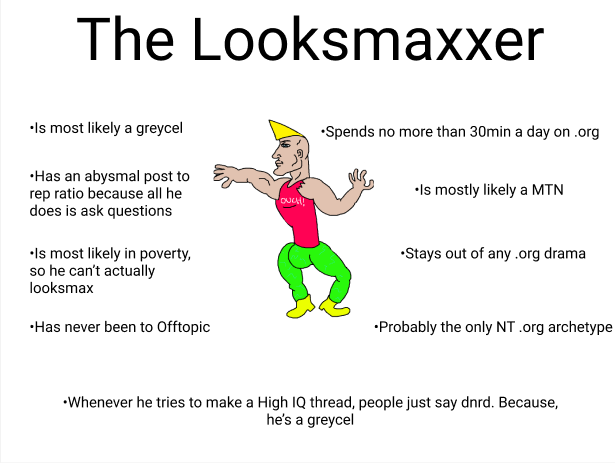 Looksmaxxer