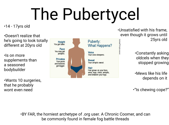 Pubertycel