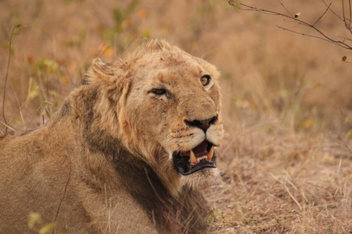 Main qimg a096c551429cca1568174873abf143df lq